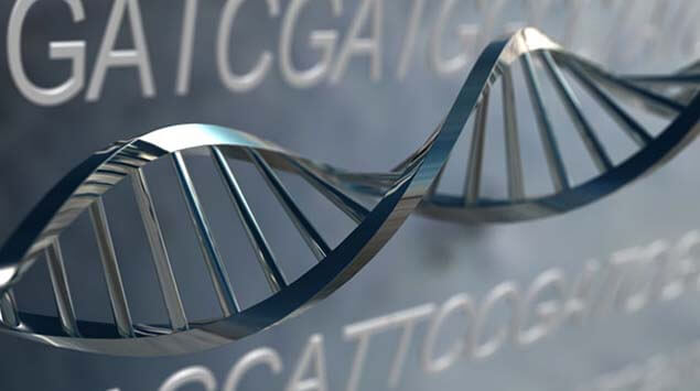 Comprehensive Genomics Services
