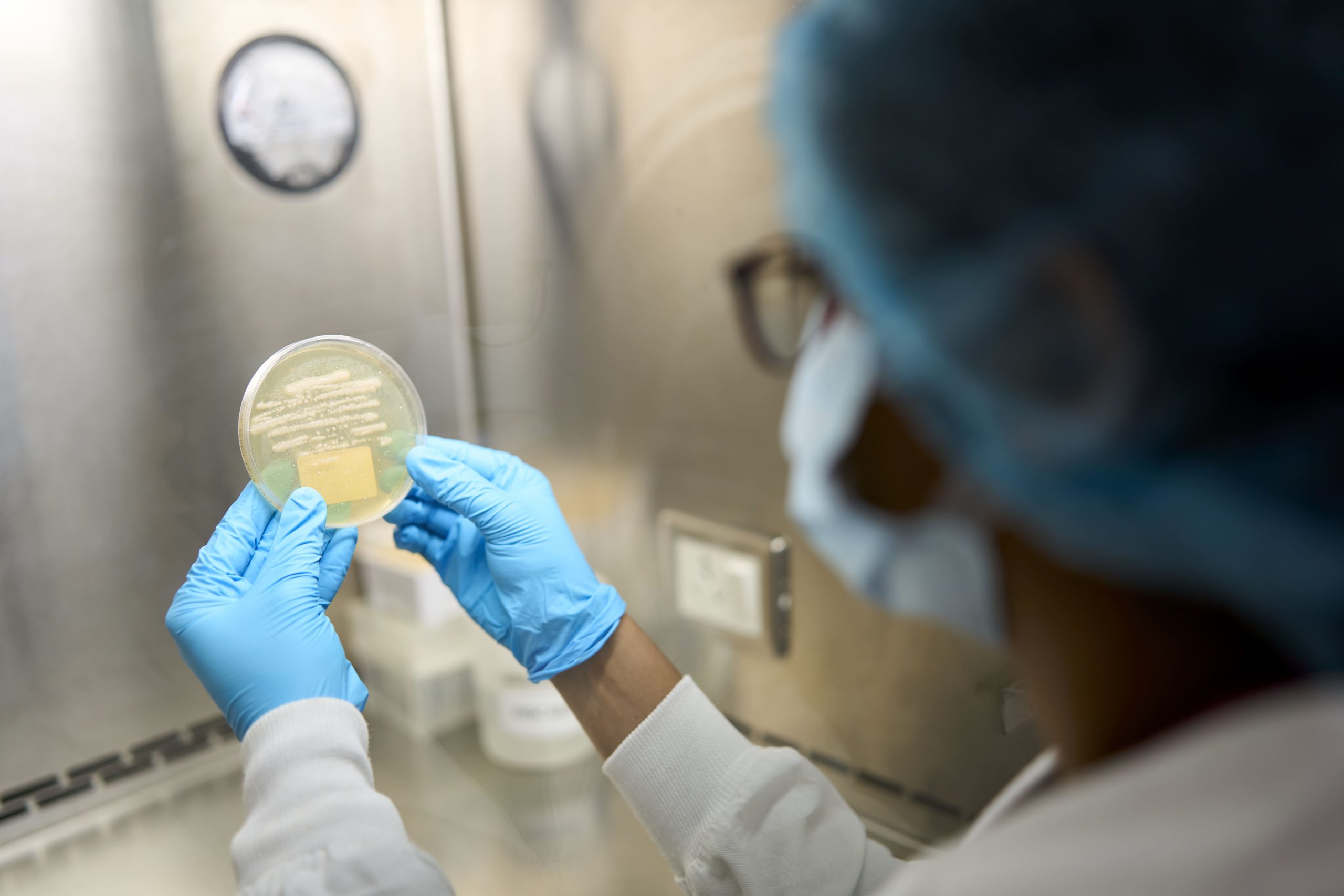 Cell Bank Characterisation Services